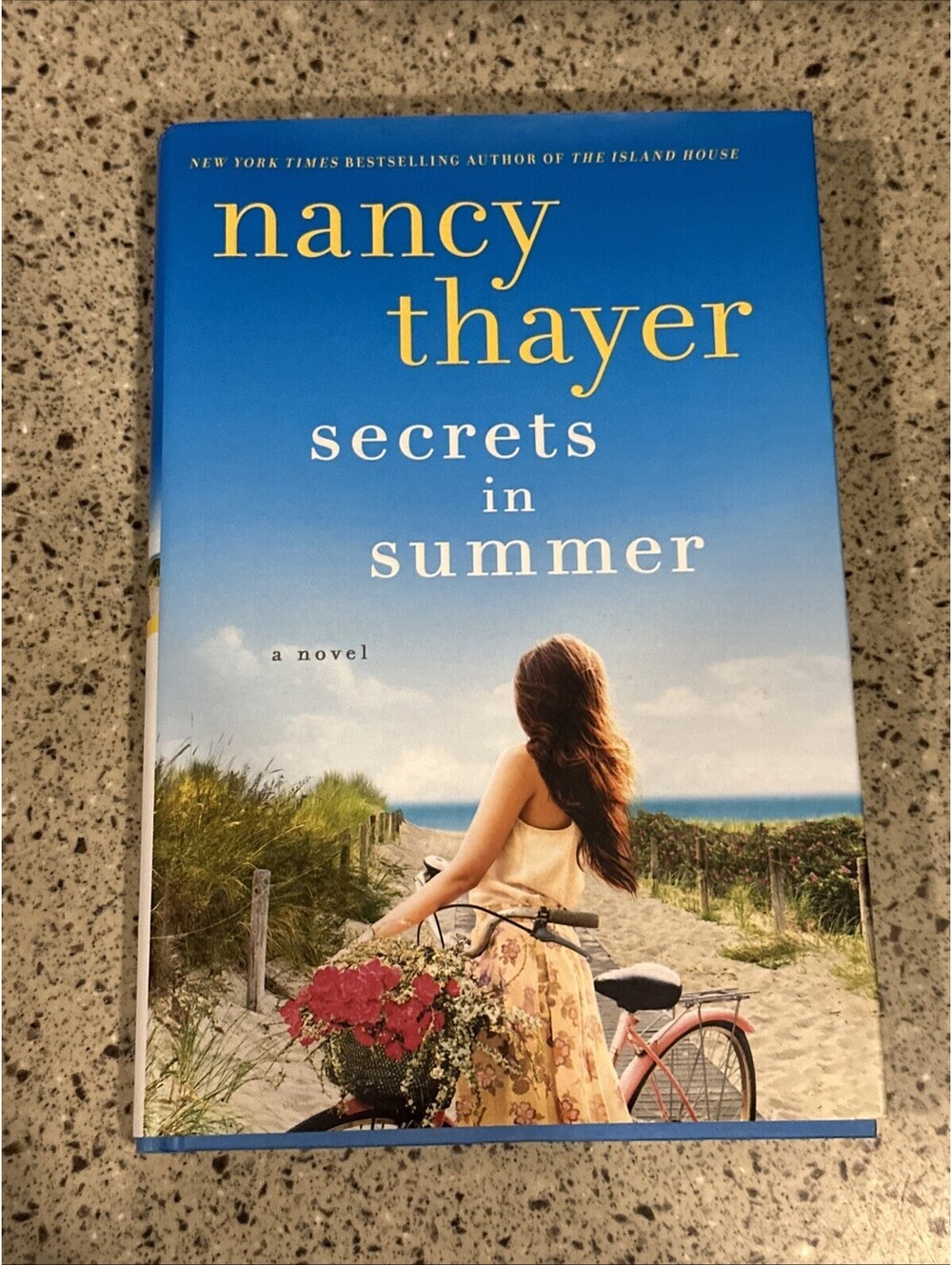 Secrets in Summer : A Novel by Nancy Thayer (2017, Hardcover)